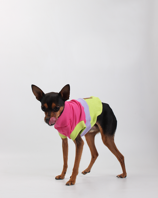 CACHORREL PARA PET STEVE DOGS WAKKO COLORS
