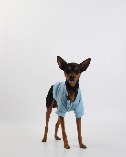 MOLETOM BÁSICO PARA PET AZUL