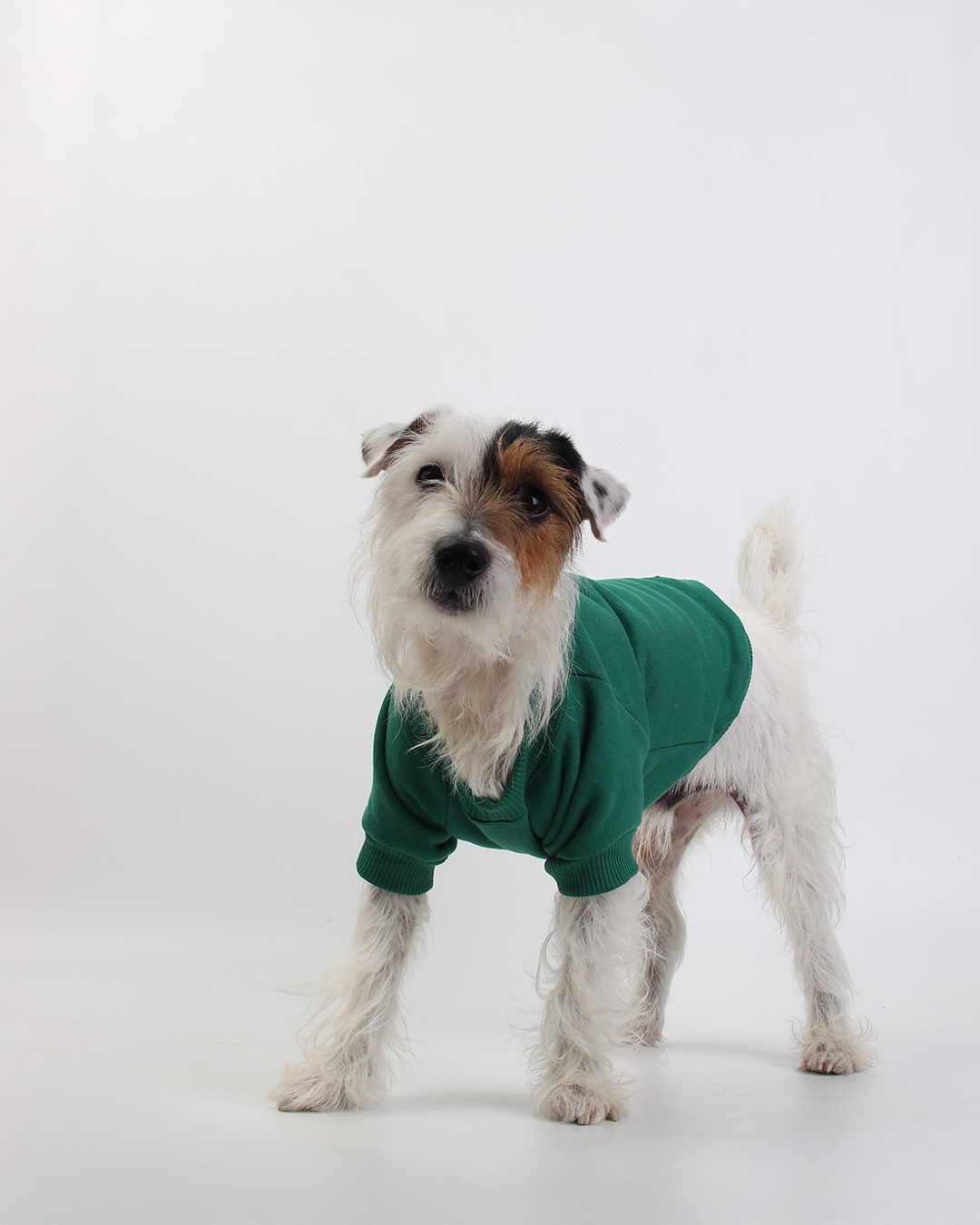 MOLETOM BÁSICO PARA PET VERDE