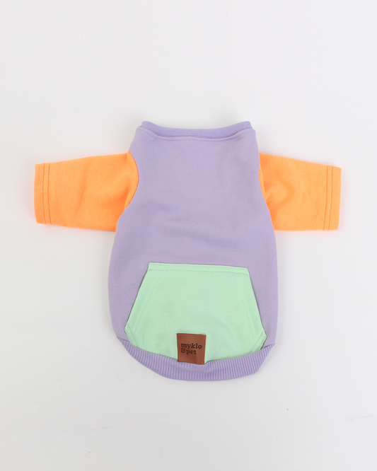 MOLETOM PARA PET POST IT