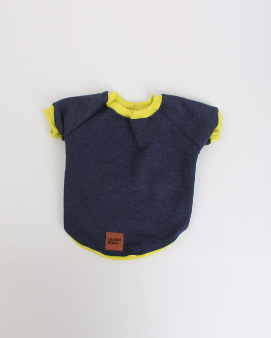 MOLETOM PARA PET BLUE NEON