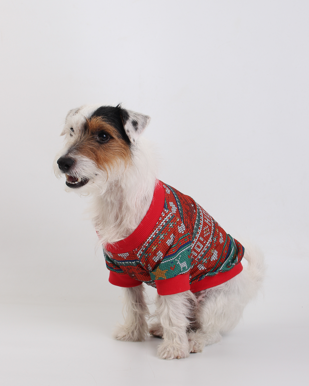 CAMISETA PARA PET HELLO NATALINA