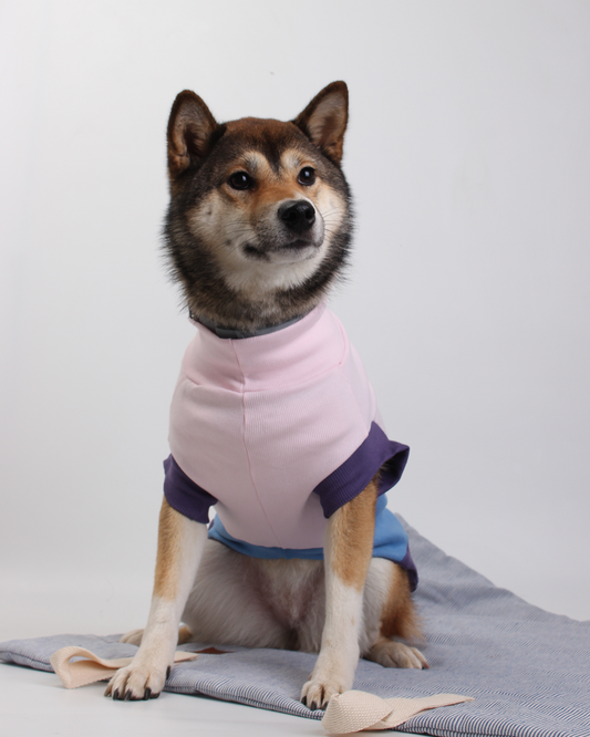 CACHORREL PARA PET STEVE LUPI