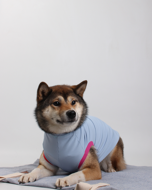 REGATA PARA PET COM PROTEÇÃO UV AZUL BRISA