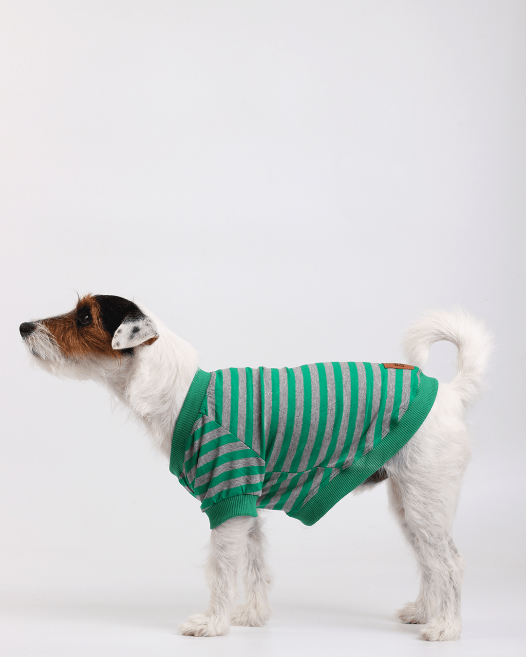 CAMISETA GREEN TEA STRIPE Myklo And Pet