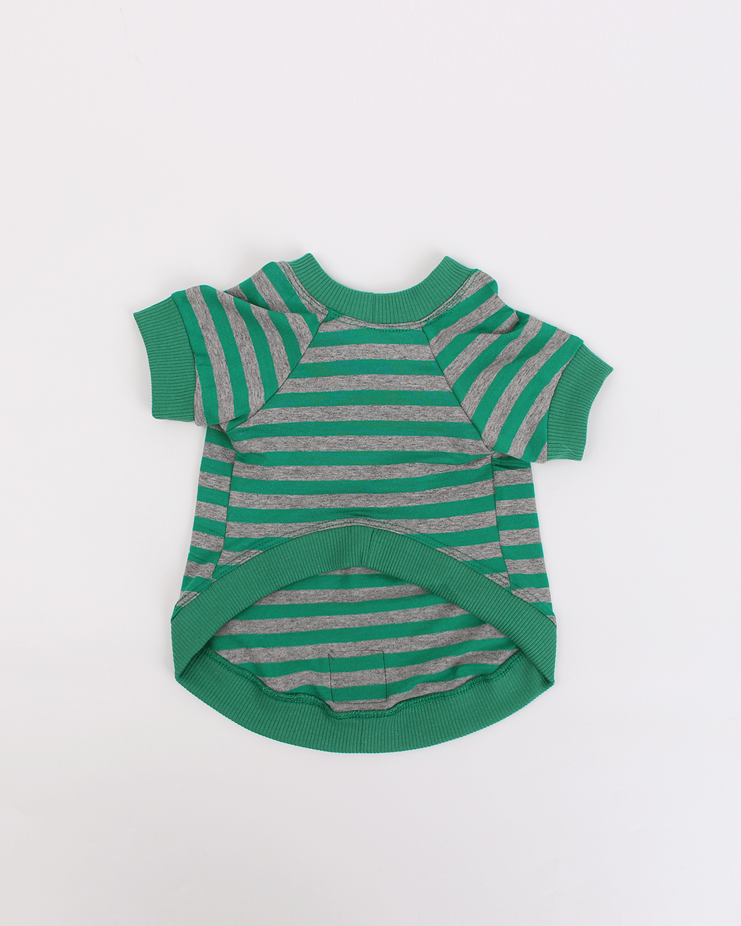 CAMISETA GREEN TEA STRIPE Myklo And Pet