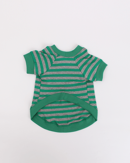 CAMISETA GREEN TEA STRIPE Myklo And Pet